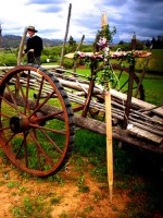 /album/fotogaleria/fiesta-de-san-franciso-jpg/